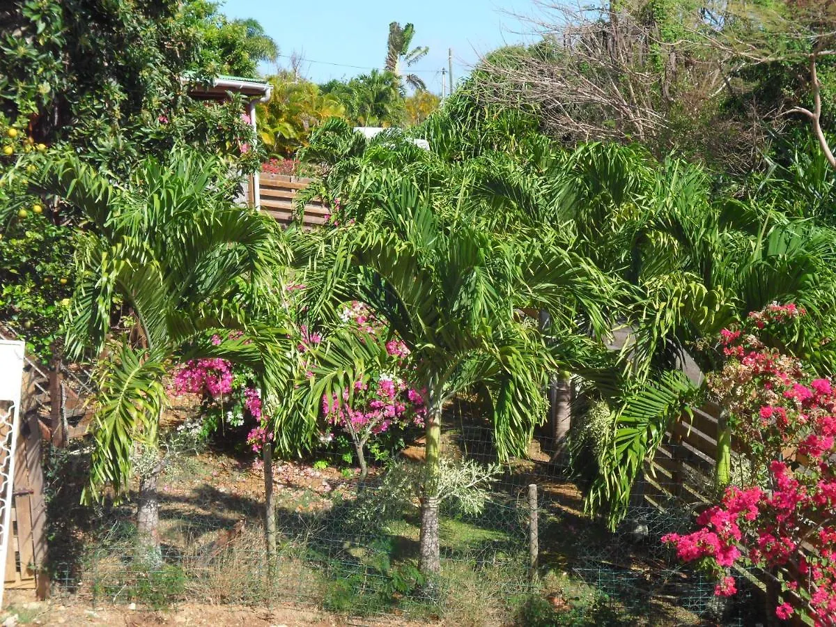 Avocatier Apartment Le Gosier  Guadeloupe